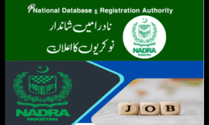 National Database and Registration Authority (NADRA)