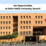 Salim Habib University Karachi