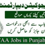 The Punjab Education, Curriculum, Training and Assessment Authority (PECTAA)