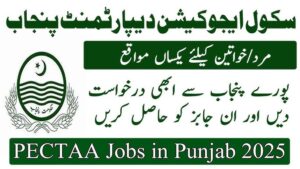 The Punjab Education, Curriculum, Training and Assessment Authority (PECTAA)