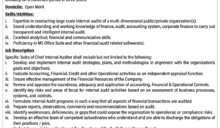 Chief Internal Auditor Job at Quetta Electric Supply Company (QESCO)
